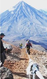 Туристическая тропа